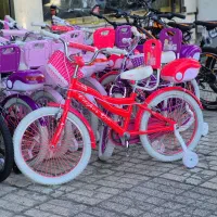 دوچرخ20دخترانه پشتی صندقدار اقساط