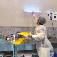 خدمات تخصص سمپاشی حشرات سوسک رتیل عقرب جوندگان موش
