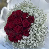 20 شاخه رز هلندی فقط 350 هزار