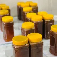 بهبود ریشه ای و تخصصی و تضمینی hpv