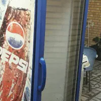 یخجال ایستاده