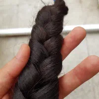 موی طبیعی ۶۰ سانت، سالم و پر حجم، آماده فروش