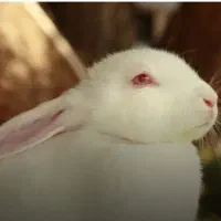 معاوضه و فروش