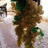 انگور تزیینی