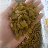کشمش سبز  قلمی نوبرانه کاشمر