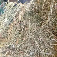 قره کره