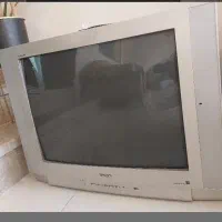 تلویزیون پارس