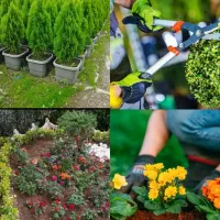 خدمات باغبانی کوددهی گلکاری کاشت گل هرس درختان