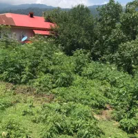 ۳۴۰متر زمین جنگلی مسکونی سند تک برگ
