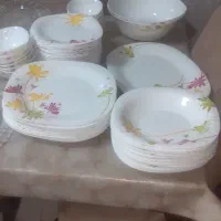 سرویس پارس اوپال  درحد نونو