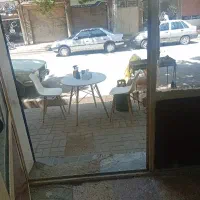 فست فود دولوپی