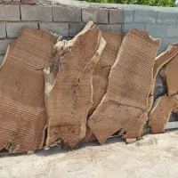 فروش اسلب سنجد ، توت و نارون
