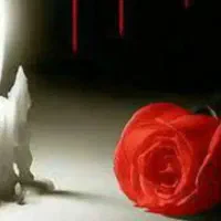 مداح مداحی