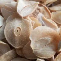 موسیر درجه یک
