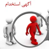استخدام مارک زن