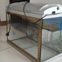 اکواریوم