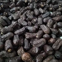 خرمای خشک (حارگ)