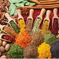 عطاری دارالشفا