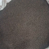 چای کله مورچه ای  لوبیا سفید ارزان
