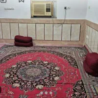 قالی در حد نو