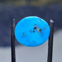 فیروزه شجر نیشابور
