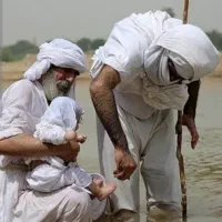 کتب کلیمی فوری
