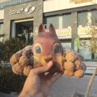 گردو درجه یک ایرانی