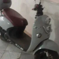 ms1 50