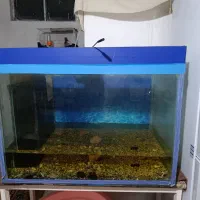 اکواریوم با پایه اهنی