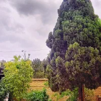 آموزشگاه دوره های هنری