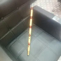 نی دومهر شفیعی
