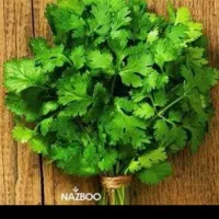 استخدام نیروی سورت سبزی
