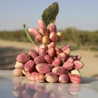 سرایدار