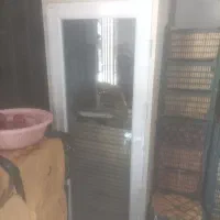 دستگاه میوه خشک کنی نقد و چک