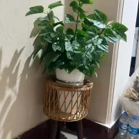 گل و چلدان