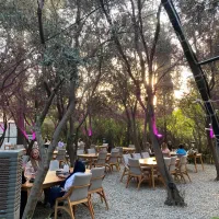 نیروی کافه رستوران
