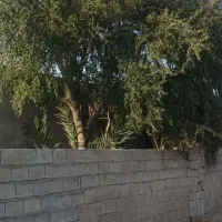 فروش و اجاره ویلایی