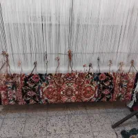 فرش نیمه کاره قالیچه ۴۰رج حاشیه متن ابریشم سالار