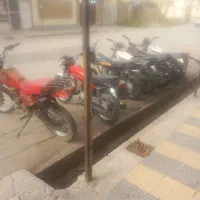 انواع موتور مزایده
