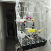 قفس بزرگ