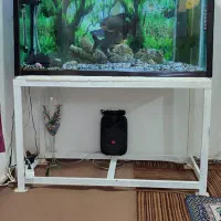 اکواریوم