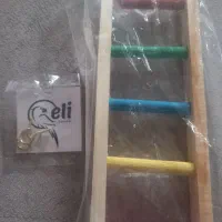 نردبان برای پرنده