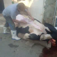 سلاخ و قصاب