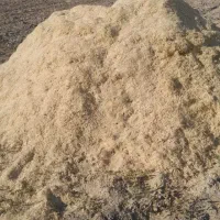 فروش کاه گندم سفید درجه یک