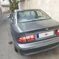 سمند نوک مدادی