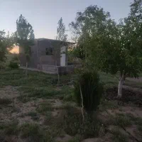 باغ 1000متری