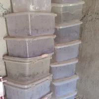 جعبه