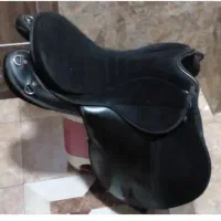 زین استاتوس
