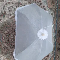 پشه بند