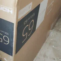 کارتن تلویزیون ال جی  ۶۵